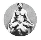 Curriculum vitae - Jérôme Dupré la Tour